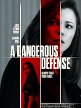Affiche de La famille du secret, film à voir en streaming sur Pygargue
