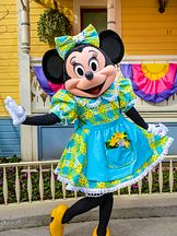 photo de Minnie Mouse