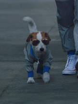 photo de Edgard DU NORD