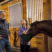 Photo Kris Kristofferson