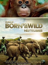 poster de Born to be Wild - Nés pour être libres