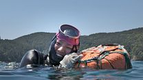 image de Haenyeo : les dernières gardiennes de la mer Bande-annonce VO STFR