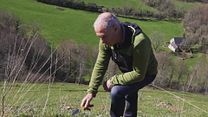 image de Comprendre l'écobuage dans les Pyrénées-Atlantiques Bande-annonce VF