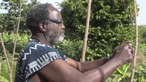 image de Les Voix croisées Bande-annonce VF