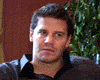 image de David Boreanaz Interview : Autour de Lucy