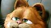 image de Garfield 2 Teaser VF