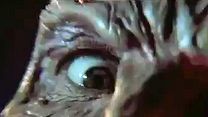 image de la vidéo Freddy - Chapitre 4 : le cauchemar de Freddy Bande-annonce VO