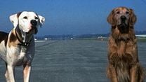 image de L'Incroyable Voyage à San Francisco Bande-annonce VO