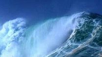 image de Water, le pouvoir secret de l’eau Bande-annonce VF