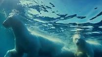 image de Arctique Teaser VF