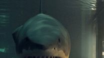 image de Bait Bande-annonce VF