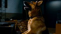 image de Rintintin à New York Bande-annonce VF