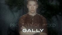 image de Le Labyrinthe Teaser VOST "Gally"