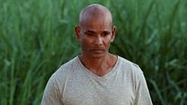 image de Lonbraz Kann Bande-annonce VF