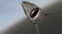 image de Mega Shark Vs. Mecha Shark Bande-annonce VF