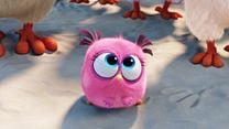 image de Angry Birds - Le Film Bande-annonce (2) VF