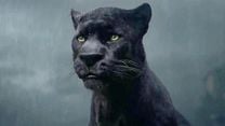 image de Le Livre de la jungle - SPOT TV VO "Live the Legend"