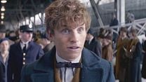 image de Les Animaux fantastiques Bande-annonce (2) VF