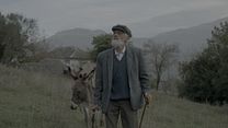 image de La Figue Bande-annonce VO