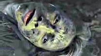 image de Blair Witch - Spot TV "Do You Belive?"
