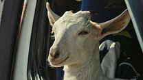 image de Ali, la chèvre & Ibrahim Bande-annonce VO