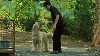 image de Creepy EXTRAIT VO "Le chien"