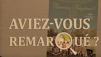 image de Aviez-vous remarqué ? Moonrise Kingdom