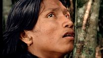 image de Le Chant de la forêt Bande-annonce VO