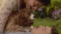 image de La Belle et le Clochard Bande-annonce (2) VO