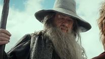 image de Le Hobbit : la Désolation de Smaug Bande-annonce (3) VO