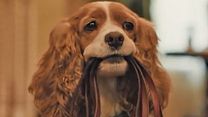 image de La Belle et le Clochard Bande-annonce VO