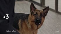 image de la vidéo Hudson et Rex - saison 1 Bande-annonce VF