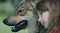 image de Mystère Bande-annonce VF