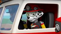 image de Pat' Patrouille au cinéma Bande-annonce VF