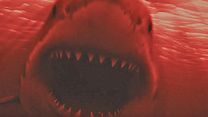image de Blood in the Water Teaser VO