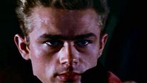 image de 100 Ans de Warner Bros. Bande-annonce VO