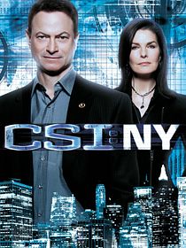 Les Experts : Manhattan