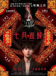 Affiche de Back Home, film à voir en streaming sur Pygargue
