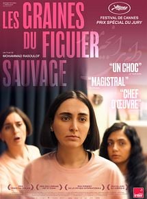 Affiche de Les Graines du figuier sauvage, film à voir en streaming sur Pygargue