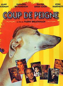 Affiche de Coup de peigne, film à voir en streaming sur Pygargue