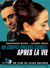 Affiche de Après la vie, film à voir en streaming sur Pygargue