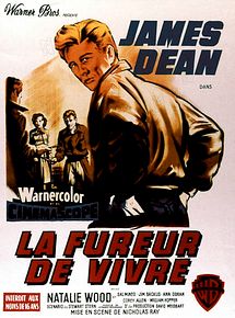 Affiche de La Fureur de vivre, film à voir en streaming sur Pygargue