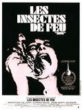 Affiche de Les Insectes de feu, film à voir en streaming sur Pygargue