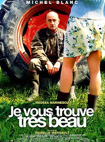Affiche de Je vous trouve très beau, film à voir en streaming sur Pygargue