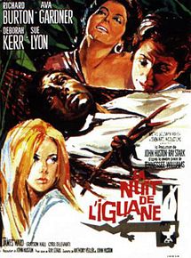 Affiche de La Nuit de l'iguane, film à voir en streaming sur Pygargue