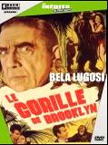 Affiche de Le Gorille de Brooklyn, film à voir en streaming sur Pygargue