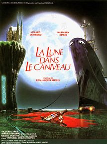 Affiche de La Lune dans le caniveau, film à voir en streaming sur Pygargue