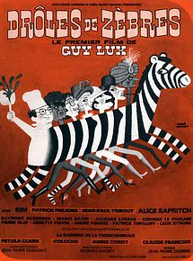 Affiche de Droles de zébres, film à voir en streaming sur Pygargue