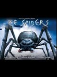 Affiche de Ice Spiders : araignées de glace, film à voir en streaming sur Pygargue