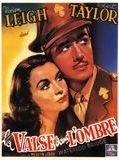 Affiche de Valse dans l'ombre, film à voir en streaming sur Pygargue